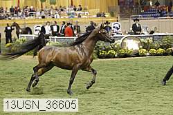 13usn_36605 thumbnail