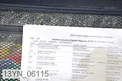 13yn_06115 thumbnail