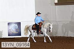 13yn_09164 thumbnail