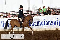 13yn_02654 thumbnail
