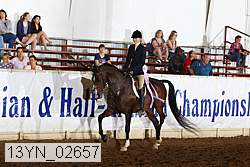 13yn_02657 thumbnail