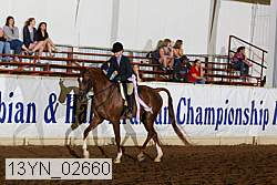13yn_02660 thumbnail
