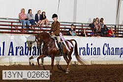13yn_02663 thumbnail