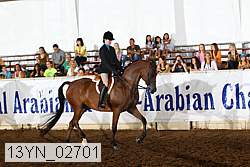 13yn_02701 thumbnail