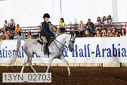 13yn_02703 thumbnail