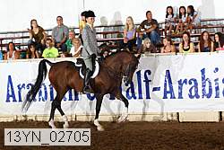 13yn_02705 thumbnail