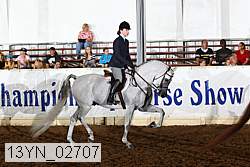 13yn_02707 thumbnail