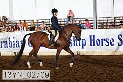 13yn_02709 thumbnail
