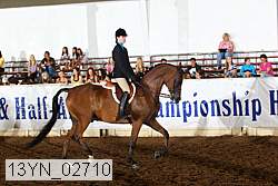 13yn_02710 thumbnail