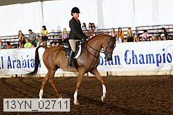 13yn_02711 thumbnail