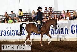 13yn_02712 thumbnail