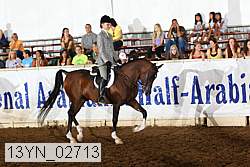 13yn_02713 thumbnail