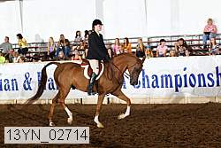 13yn_02714 thumbnail