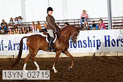13yn_02715 thumbnail