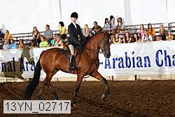 13yn_02717 thumbnail