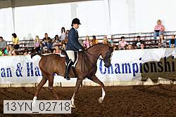 13yn_02718 thumbnail