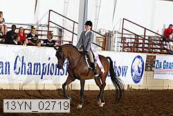 13yn_02719 thumbnail