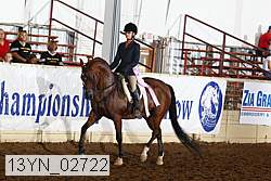 13yn_02722 thumbnail