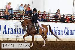 13yn_02723 thumbnail