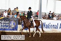 13yn_02728 thumbnail