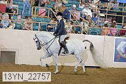 13yn_22757 thumbnail
