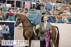 13yn_22774 thumbnail