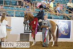 13yn_22808 thumbnail