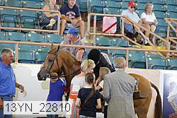 13yn_22810 thumbnail