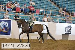 13yn_22829 thumbnail