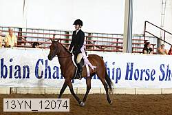 13yn_12074 thumbnail