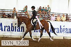 13yn_12083 thumbnail