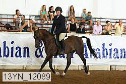 13yn_12089 thumbnail