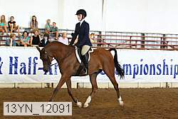 13yn_12091 thumbnail
