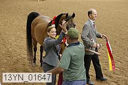 13yn_01647 thumbnail