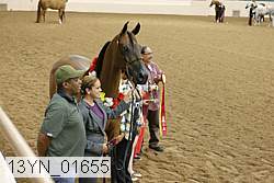 13yn_01655 thumbnail