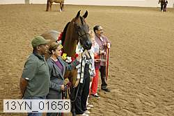 13yn_01656 thumbnail