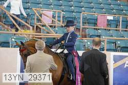 13yn_29371 thumbnail
