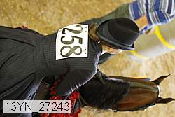 13yn_27243 thumbnail