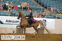 13yn_20434 thumbnail