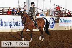 13yn_02842 thumbnail