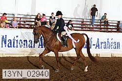 13yn_02940 thumbnail