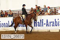 13yn_26673 thumbnail