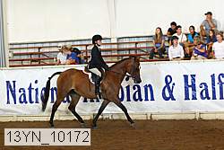 13yn_10172 thumbnail
