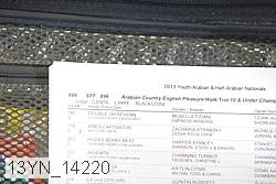 13yn_14220 thumbnail