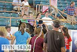 13yn_14304 thumbnail