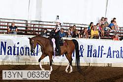 13yn_06356 thumbnail