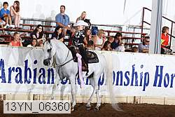 13yn_06360 thumbnail