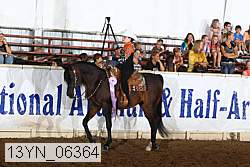 13yn_06364 thumbnail