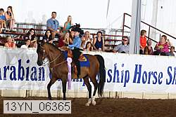 13yn_06365 thumbnail