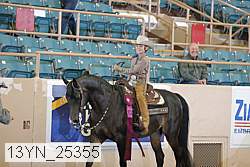 13yn_25355 thumbnail